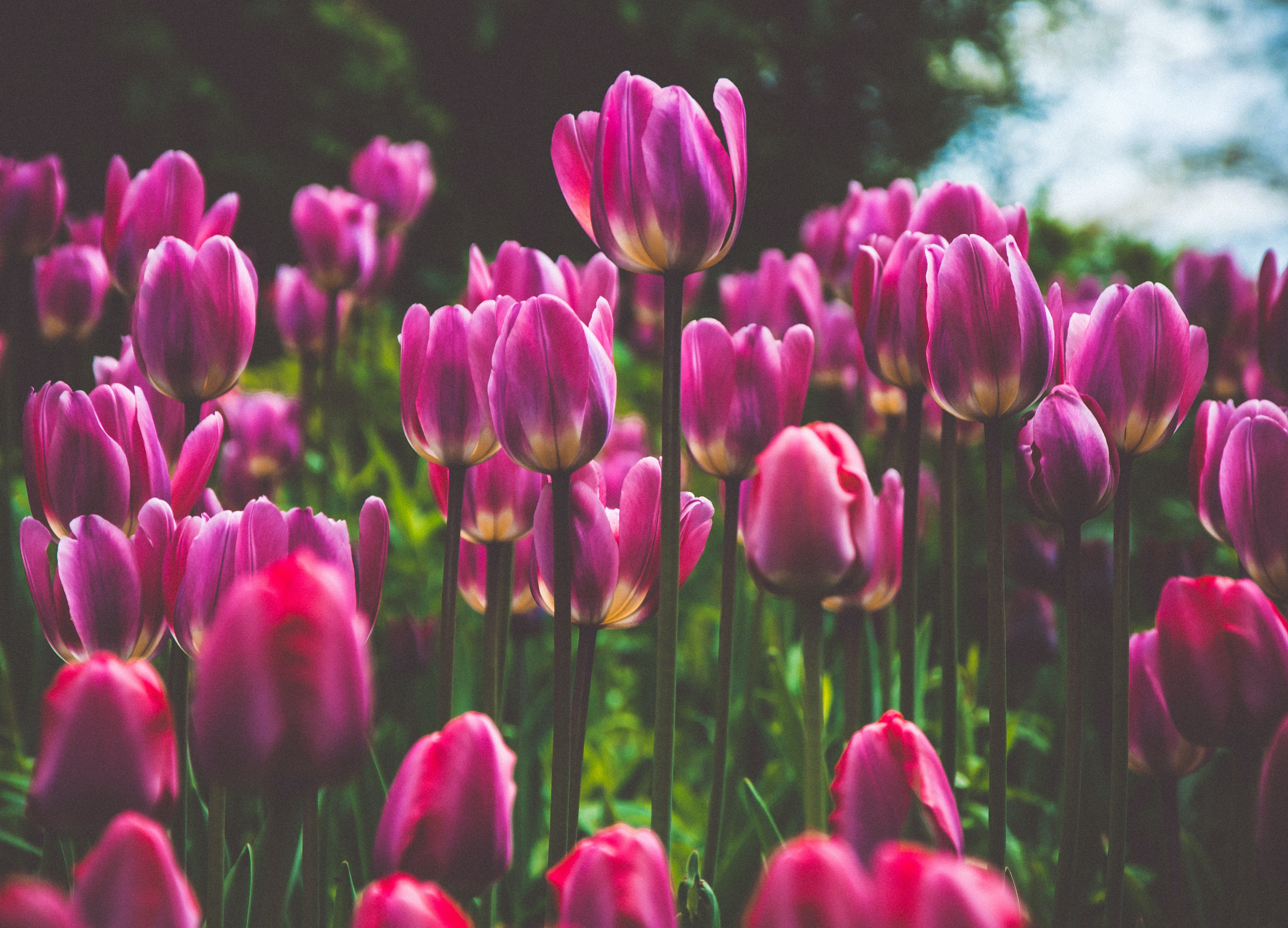 あなたのお悩みに強い弁護士がいます